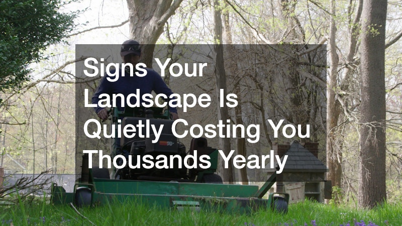 Signs Your Landscape Is Quietly Costing You Thousands Yearly